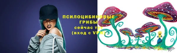 трава Наволоки