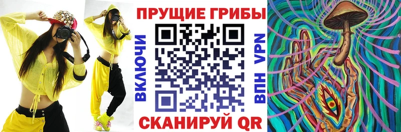 купить наркоту  Щучье  Галлюциногенные грибы мицелий 