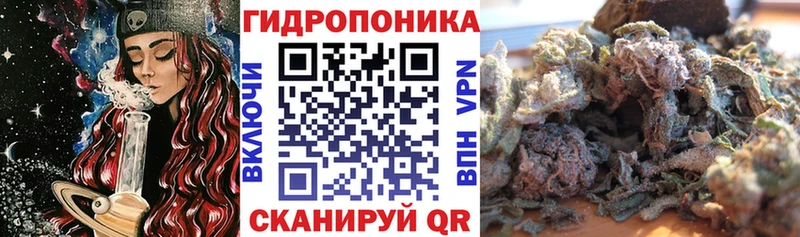 Марихуана SATIVA & INDICA Щучье